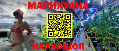 сатива Лесосибирск