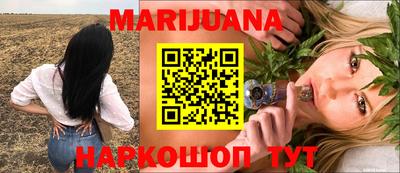сатива Лесосибирск
