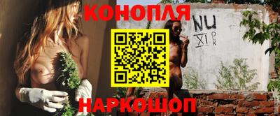 Альфа ПВП Ливны