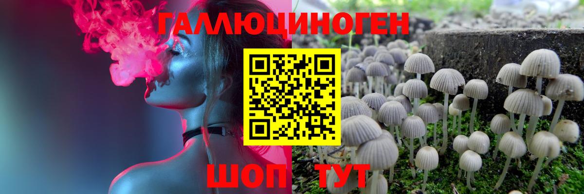 Псилоцибиновые грибы Железноводск